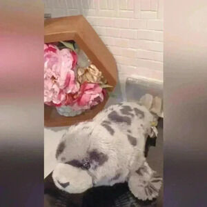 Wild  Republic Spotted Gray Harbor Seal Plush Stuffed Animal Toy 14"